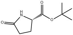 98+ 흰색 분말 L-Pyr-OtBu CAS NO. 35418-16-7